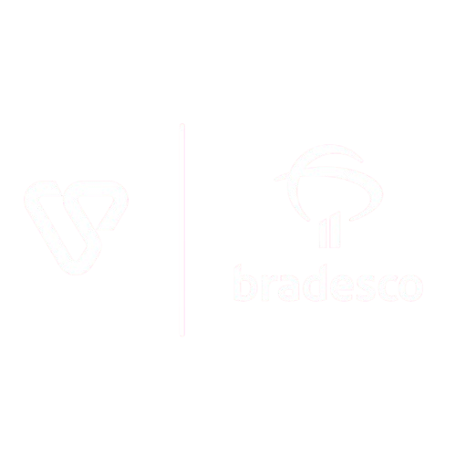 VS Seg e Bradesco Saúde